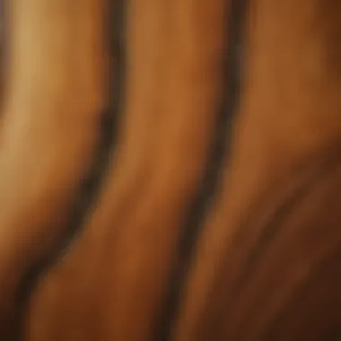 A close-up of wood grain showcasing the effect of a particular stain