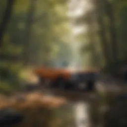 Untouched wilderness in Arkansas