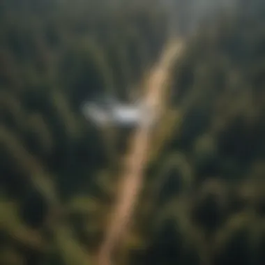 Aerial view of drone flying over dense forest