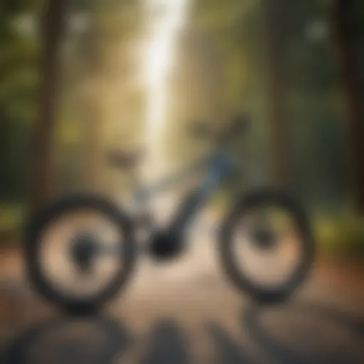 Legal regulations for electric bike usage in urban areas