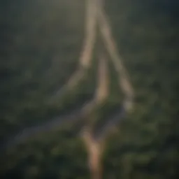 Aerial view of urban sprawl and deforestation