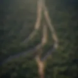 Urban Sprawl and Deforestation Impact Aerial view of urban sprawl and deforestation