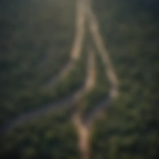 Urban Sprawl and Deforestation Impact Aerial view of urban sprawl and deforestation