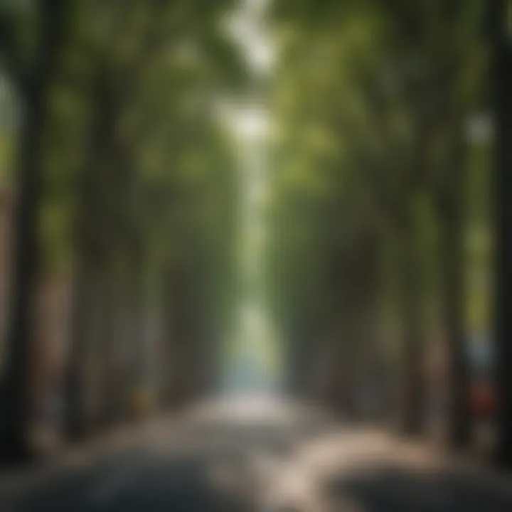 Urban Tree Canopy