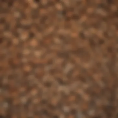 Variety of Firewood Types in California