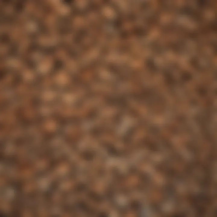 Variety of Firewood Types in California
