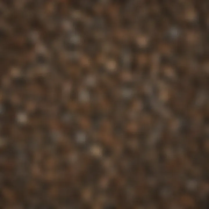 A range of sticky moth traps designed for various environments.