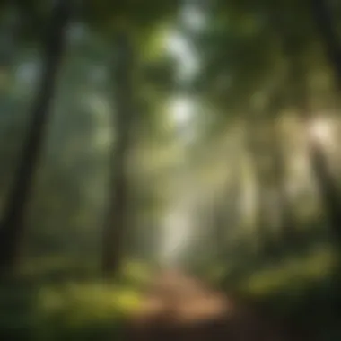 Verdant Canopy: A Lush Perspective Verdant Canopy