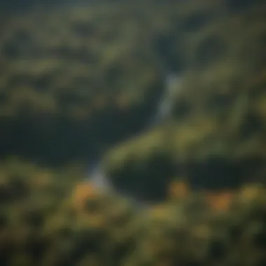 Aerial view of Vermont forests showcasing biodiversity