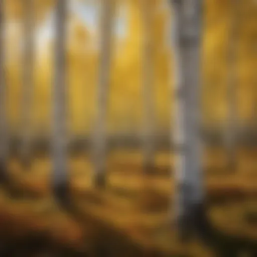 Vibrant Aspen Trees in October