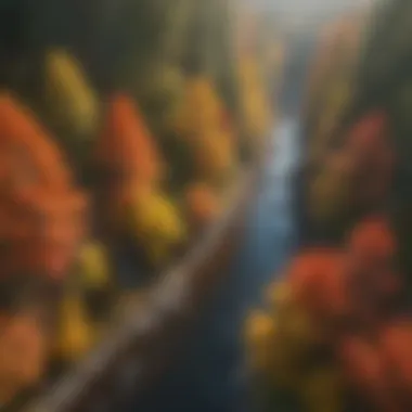 Vibrant Fall Foliage Aerial view of vibrant fall foliage in the forest