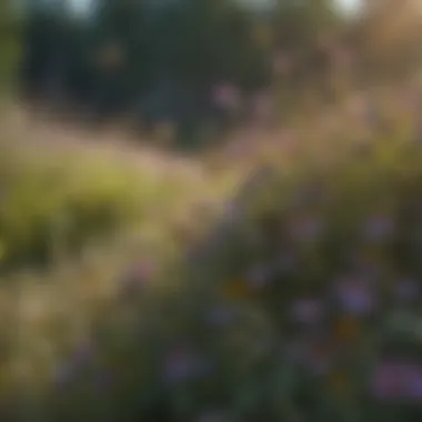 Vibrant meadow abuzz with bees and wildflowers