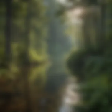 Lush greenery surrounding Spruce Knob Lake