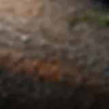 Material Texture Analysis Visqueen material texture detail