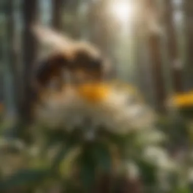 Capturing Pollination Dynamics with Bees Pollination dynamics in action