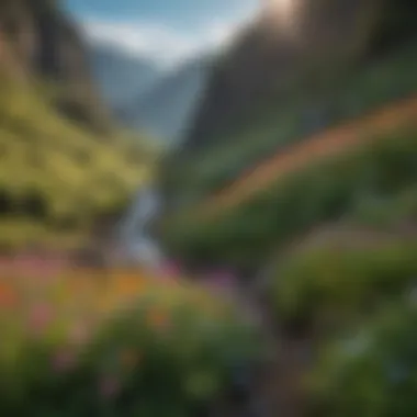 Vibrant Wildflowers Blooming Along the Gorge in Oregon