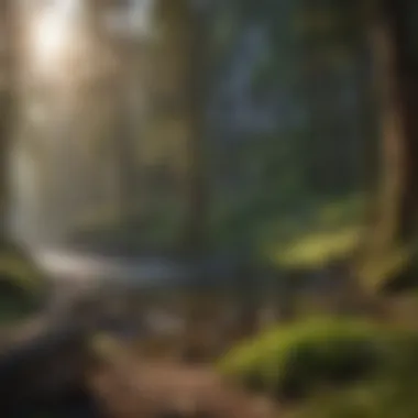 Scenic Washington State Park Landscape