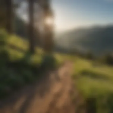 Scenic vista of Wenatchee from a mountain biking trail