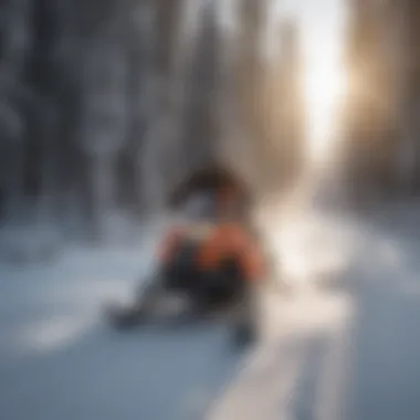 Thrilling Snowmobile Tours A thrilling snowmobile tour traversing snowy trails