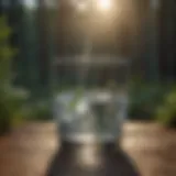 Refreshing Hydration A glass of water with refreshing condensation to illustrate hydration.