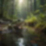 Bullfrog tadpoles in a natural habitat