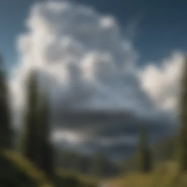 White Cloud High-Speed Internet Options