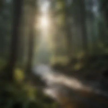Significance of White River Trim in Forestry
