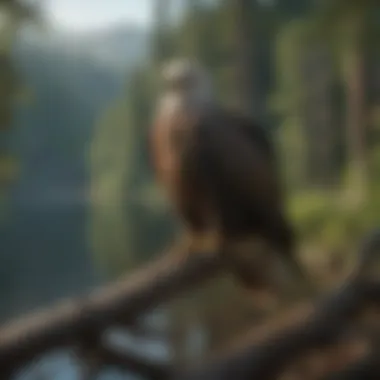 Majestic eagle perched on a branch overlooking the serene lake