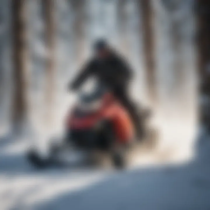 Majestic Wildlife Encounter Majestic Wildlife Encounter during Snowmobiling in West Yellowstone