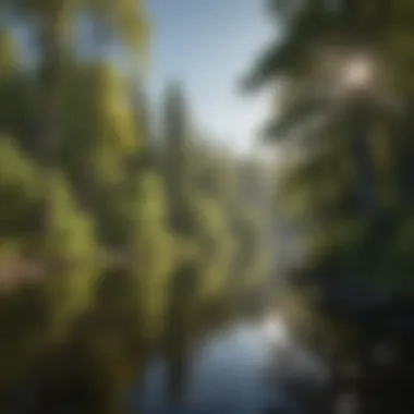 Scenic view of a tranquil lake at Willow Creek North Shore with reflections of trees.