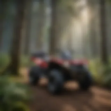 Enchanted Wilderness ATV trail winding through dense forest in Clark County
