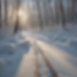 Winter Splendor on Cross-Country Skis