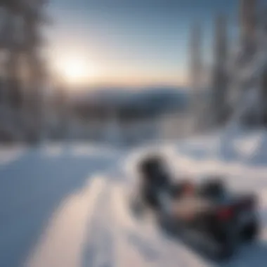 Winter Wonderland Vista from White Mountain Snowmobile