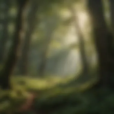 Enchanting Forest Canopy Illustration of a lush green forest with sunlight filtering through the trees