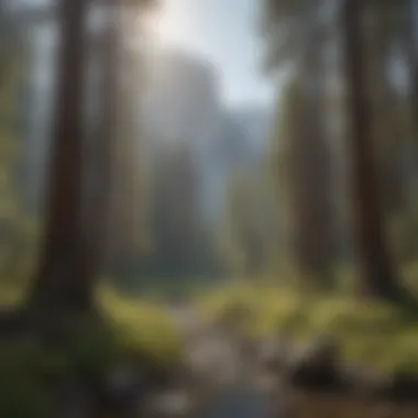 Yosemite National Park conservation role