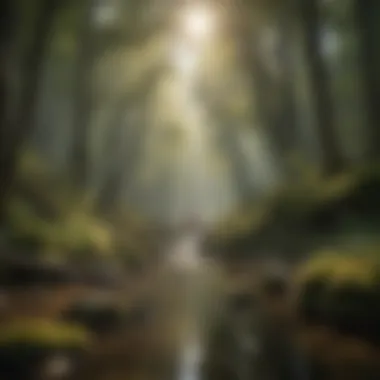 Zen Forest Bathing Experience Zen Forest Bathing Experience